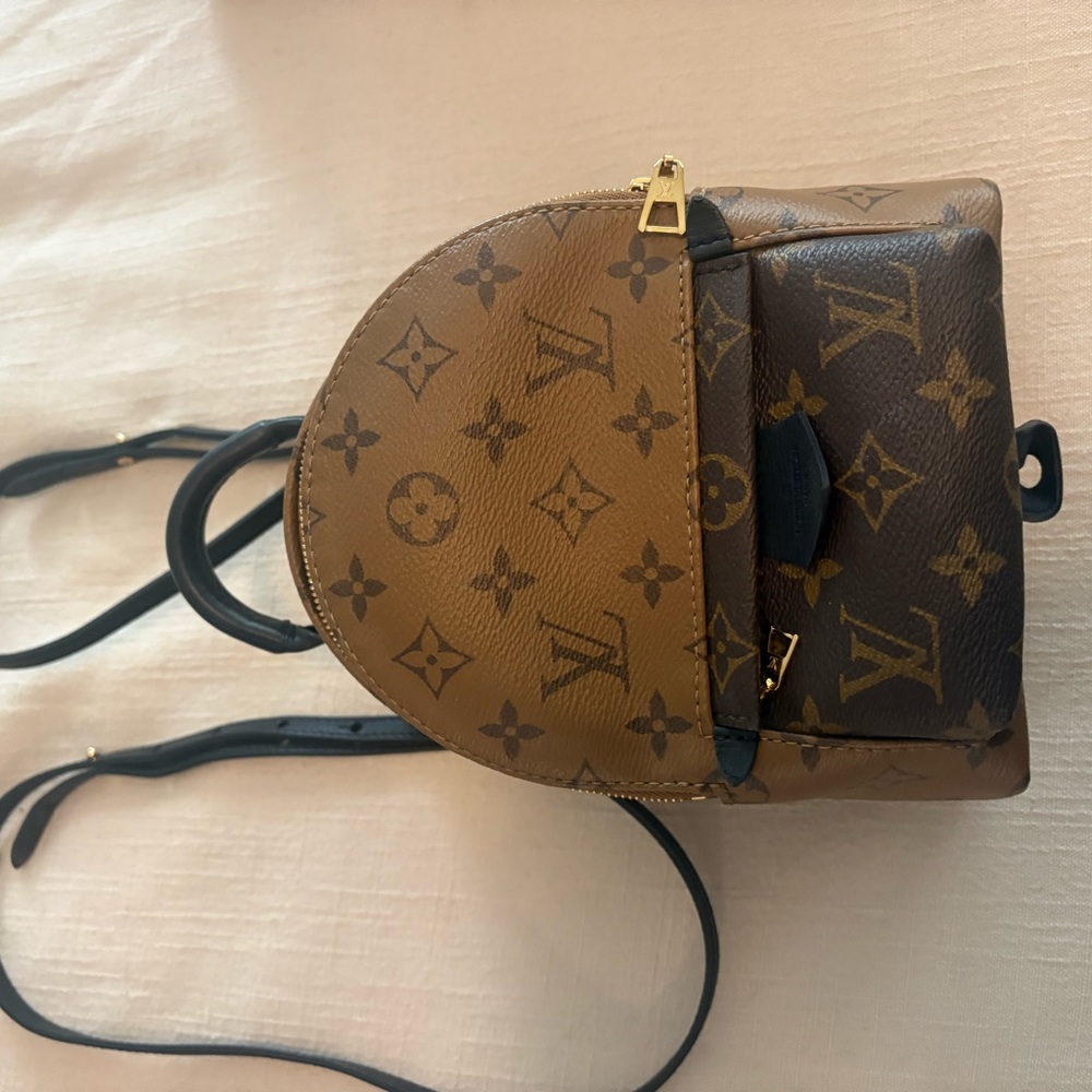 Louis Vuitton Tan and Brown Monogram Backpack